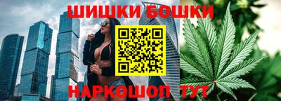 шишки Ефремов
