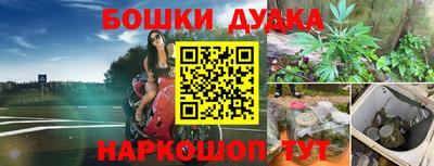 шишки Ефремов