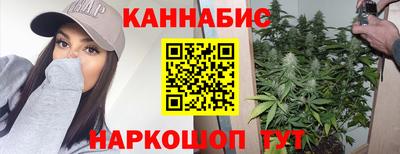 шишки Ефремов