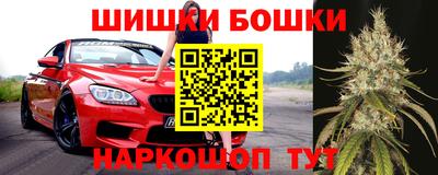 шишки Ефремов