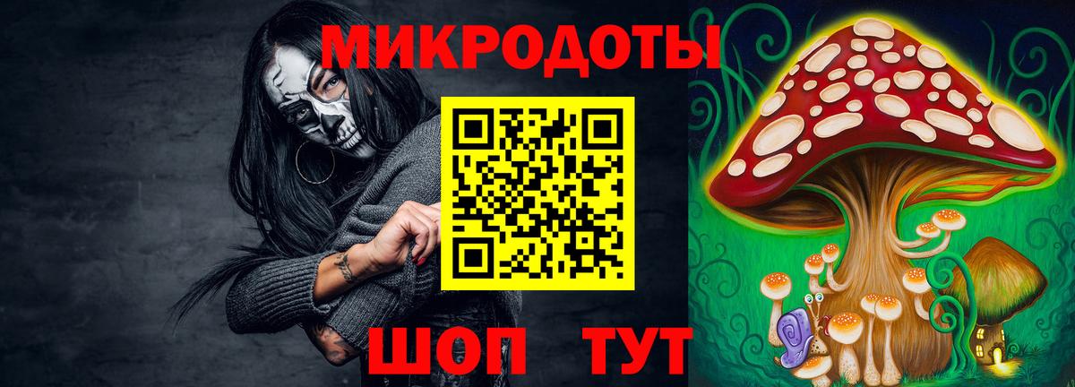 Россия  Галлюциногенные грибы мицелий  Вход с VPN 